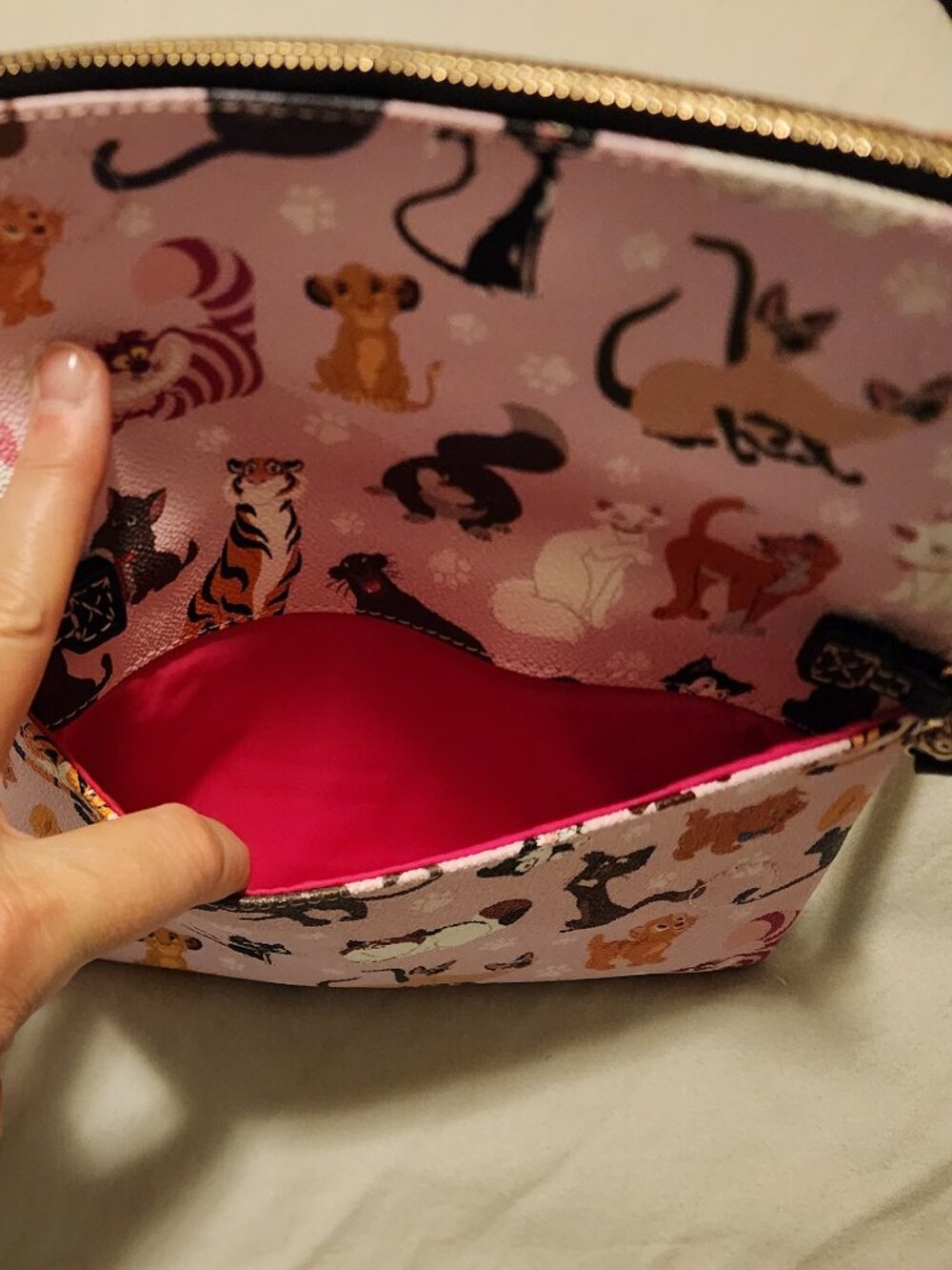 Disney Cats Dooney & Bourke Crossbody, Disney Parks Exclusive - Picture 6 of 8